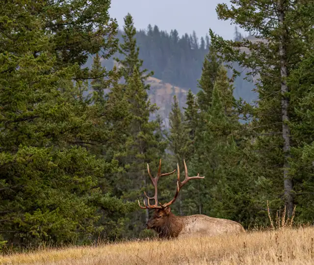 Skærmbillede 2024 07 03 110708