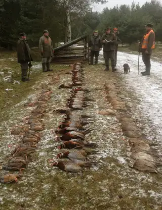 Skærmbillede 2025 02 28 134328