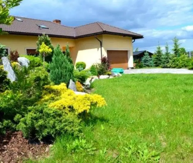 Skærmbillede 2024 09 23 161018