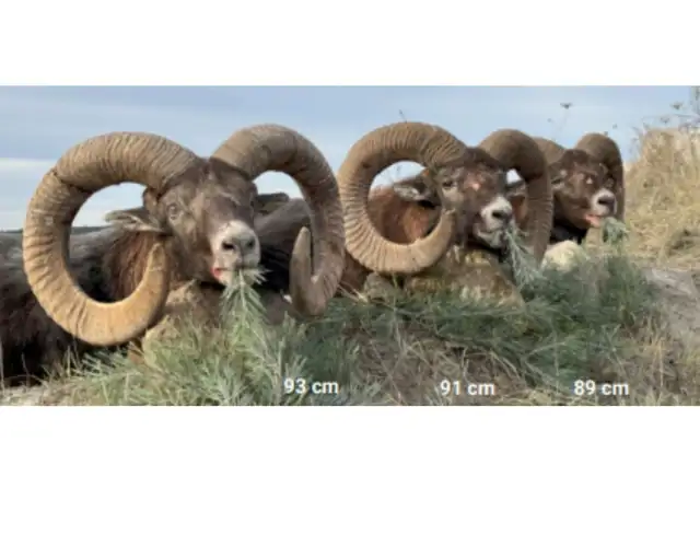 Kopi Af Hjemmeside Og PDF Format 169 (22)