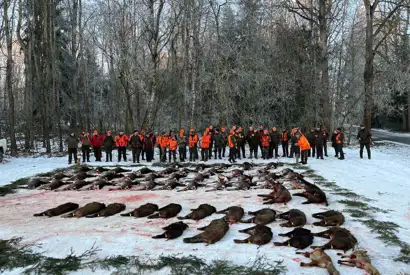 Whatsapp Image 2025 06 10 At 08.46.35 (7)