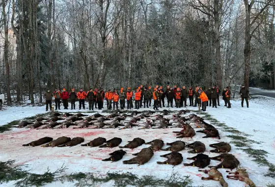 Whatsapp Image 2025 06 10 At 08.46.35 (7)