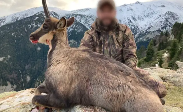 Skærmbillede 2025 01 06 105745