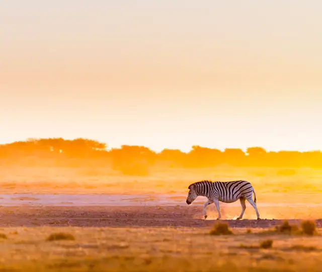 Skærmbillede 2024 07 01 125933