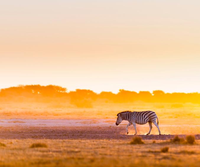 Skærmbillede 2024 07 01 125933