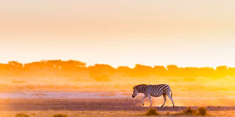 Skærmbillede 2024 07 01 125933