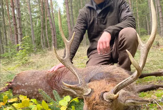 Skærmbillede 2023 12 01 083043