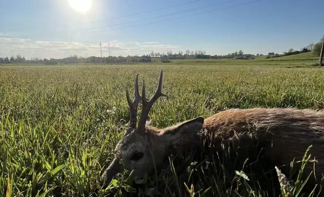 373325568 1056088629023955 7264404407870044742 N