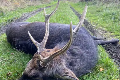 PHOTO 2023 06 27 13 03 19