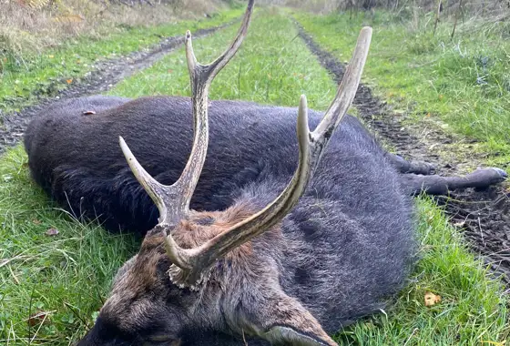 PHOTO 2023 06 27 13 03 19