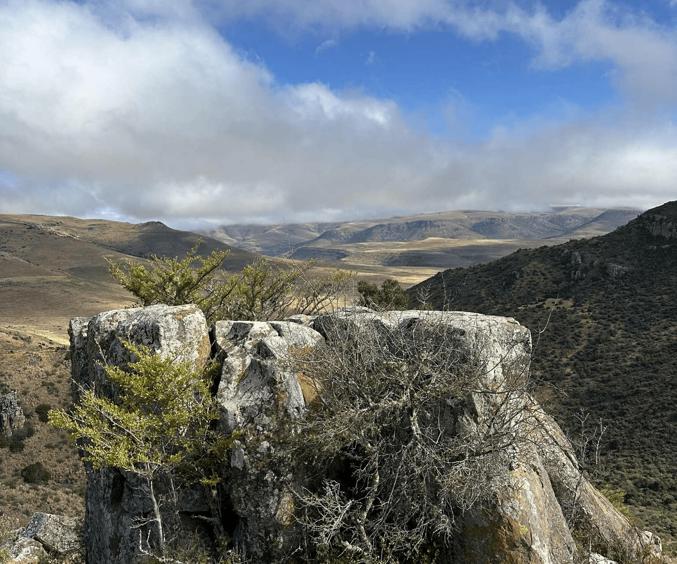 Design Uden Navn (1) Min