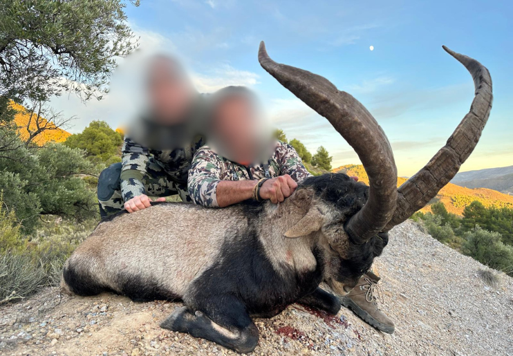 Design Uden Navn (31)