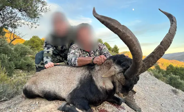 Design Uden Navn (31)