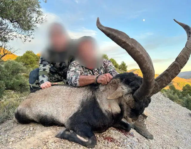 Design Uden Navn (31)