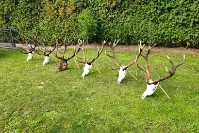 Whatsapp Image 2022 09 23 At 09.04.49