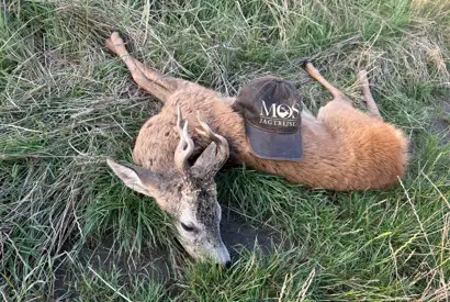 Whatsapp Image 2025 07 30 At 05.49.06