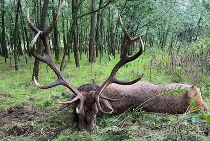 361096146 1023272488972236 1796764287738842967 N