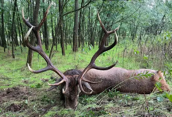 361096146 1023272488972236 1796764287738842967 N