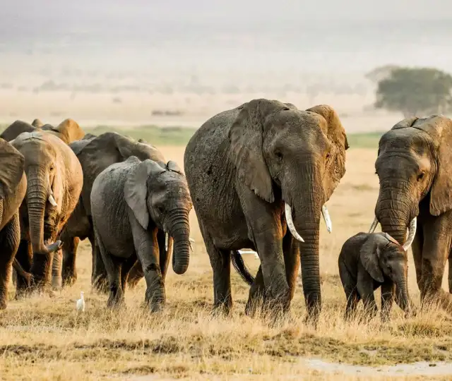 Kopi Af Hjemmeside Og PDF Format 169 (6) (1)