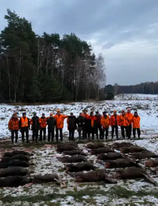 Skærmbillede 2026 08 03 094101