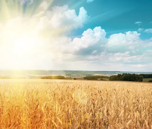 Bukkejagts Billeder Til SOME (2)