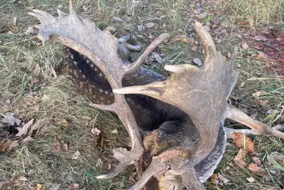 392952290 1089849368981214 7797402428769853940 N