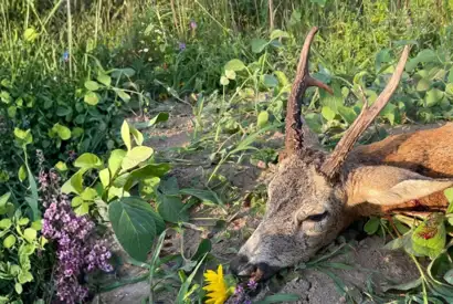 D49B98B0 FCA4 48BB 9B0D D7BC72851AF0