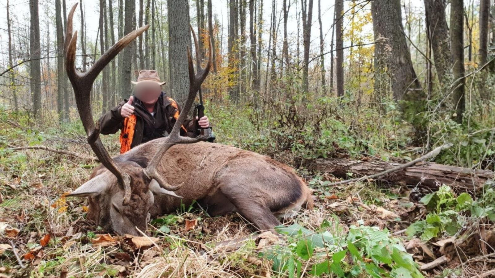 Kopi Af Hjemmeside Og PDF Format 169 (18)