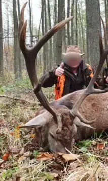 Kopi Af Hjemmeside Og PDF Format 169 (18)