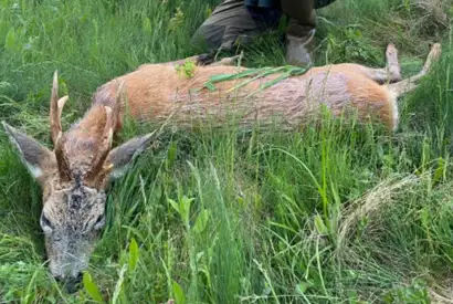 Skærmbillede 2023 05 09 163506