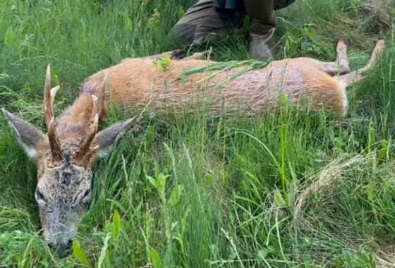 Skærmbillede 2023 05 09 163506