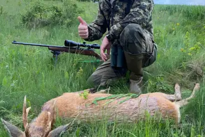 Skærmbillede 2023 05 09 163506