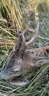 Whatsapp Image 2025 07 29 At 18.07.56