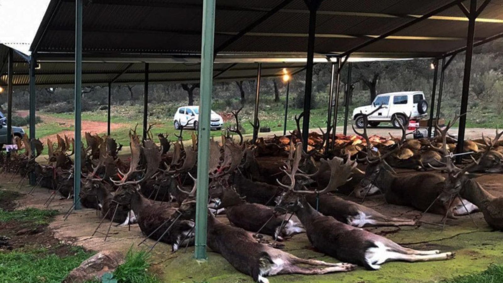 Skærmbillede 2022 07 19 Kl. 11.20.40