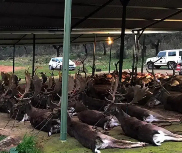 Skærmbillede 2022 07 19 Kl. 11.20.40