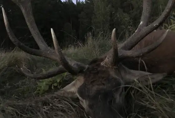 367440627 1042972547002230 422226018050140090 N