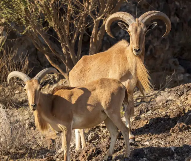 Kopi Af Hjemmeside Og PDF Format 169 (7)