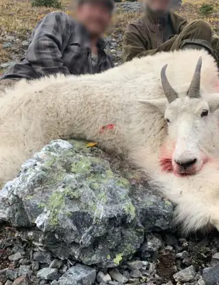 Skærmbillede 2023 10 30 180608