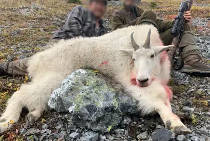 Skærmbillede 2023 10 30 180608