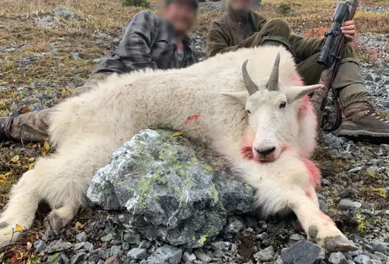 Skærmbillede 2023 10 30 180608