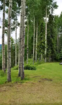 Kopi Af Hjemmeside Og PDF Format 169 (16)