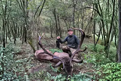 Skærmbillede 2023 12 04 154645