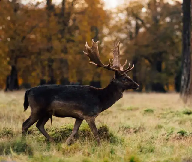 Kopi Af Hjemmeside Og PDF Format 169 (1) Min