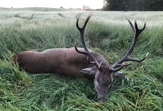 241349510 440571603915956 4827931045300855568 N