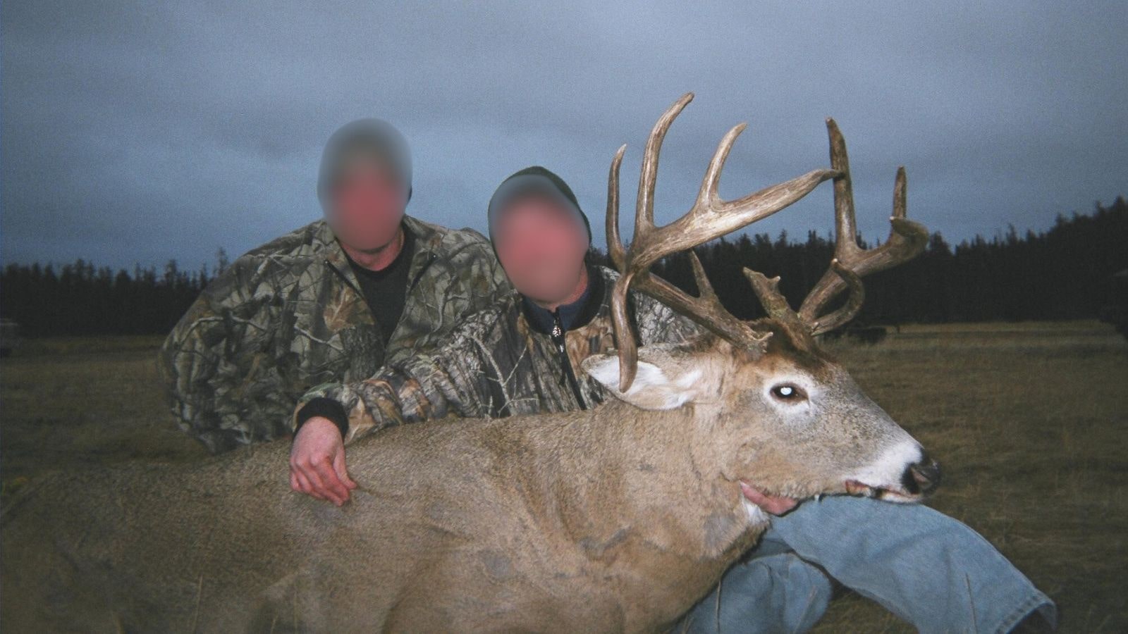 Kopi Af Hjemmeside Og PDF Format 169 (6) Min