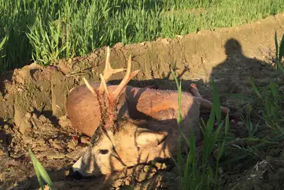 406482627 1113874013245416 2548875039040773247 N