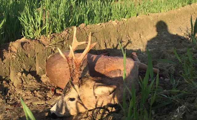 406482627 1113874013245416 2548875039040773247 N