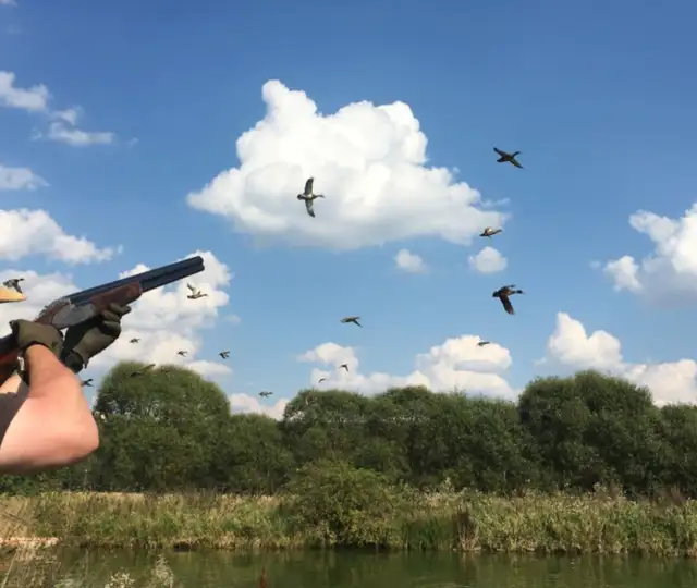 Skærmbillede 2025 02 27 164151