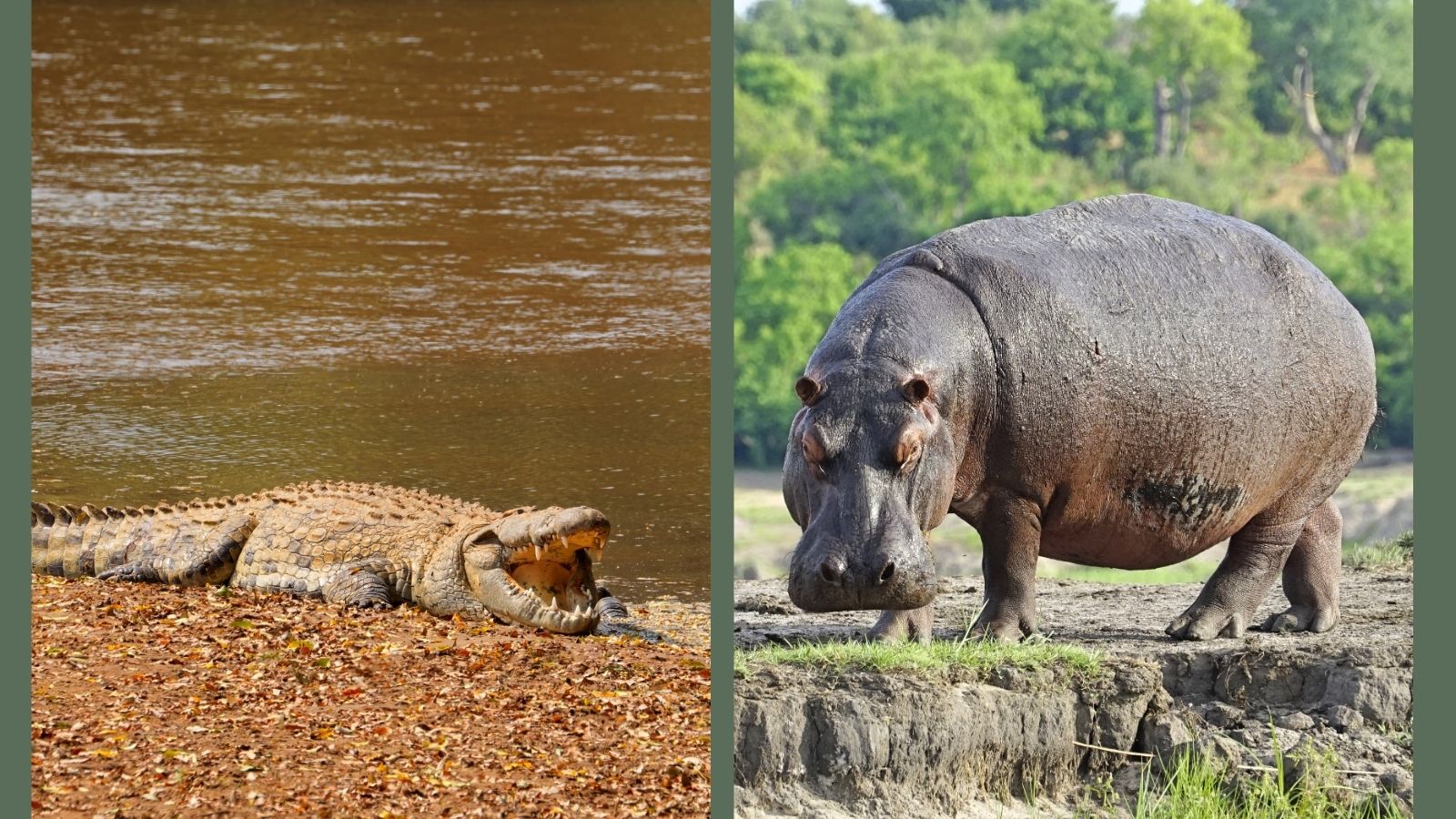 Kopi Af Hjemmeside Og PDF Format 169 2025 11 27T134345.374 Min