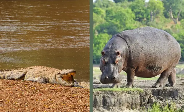 Kopi Af Hjemmeside Og PDF Format 169 2025 11 27T134345.374 Min